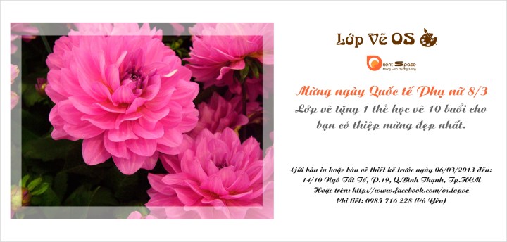 Mừng ngày Quốc Tế Phụ nữ 8/3