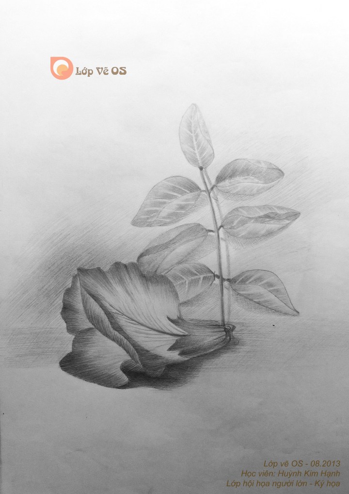 6 81 huynh kim hanh lop ve os 3