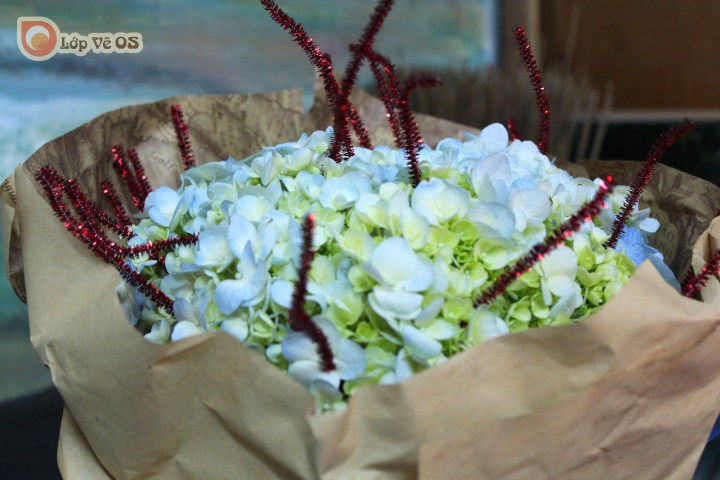 lop ve os sinhnhat thay hong 1