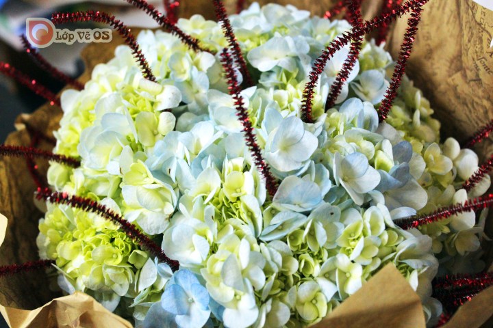 lop ve os sinhnhat thay hong 22